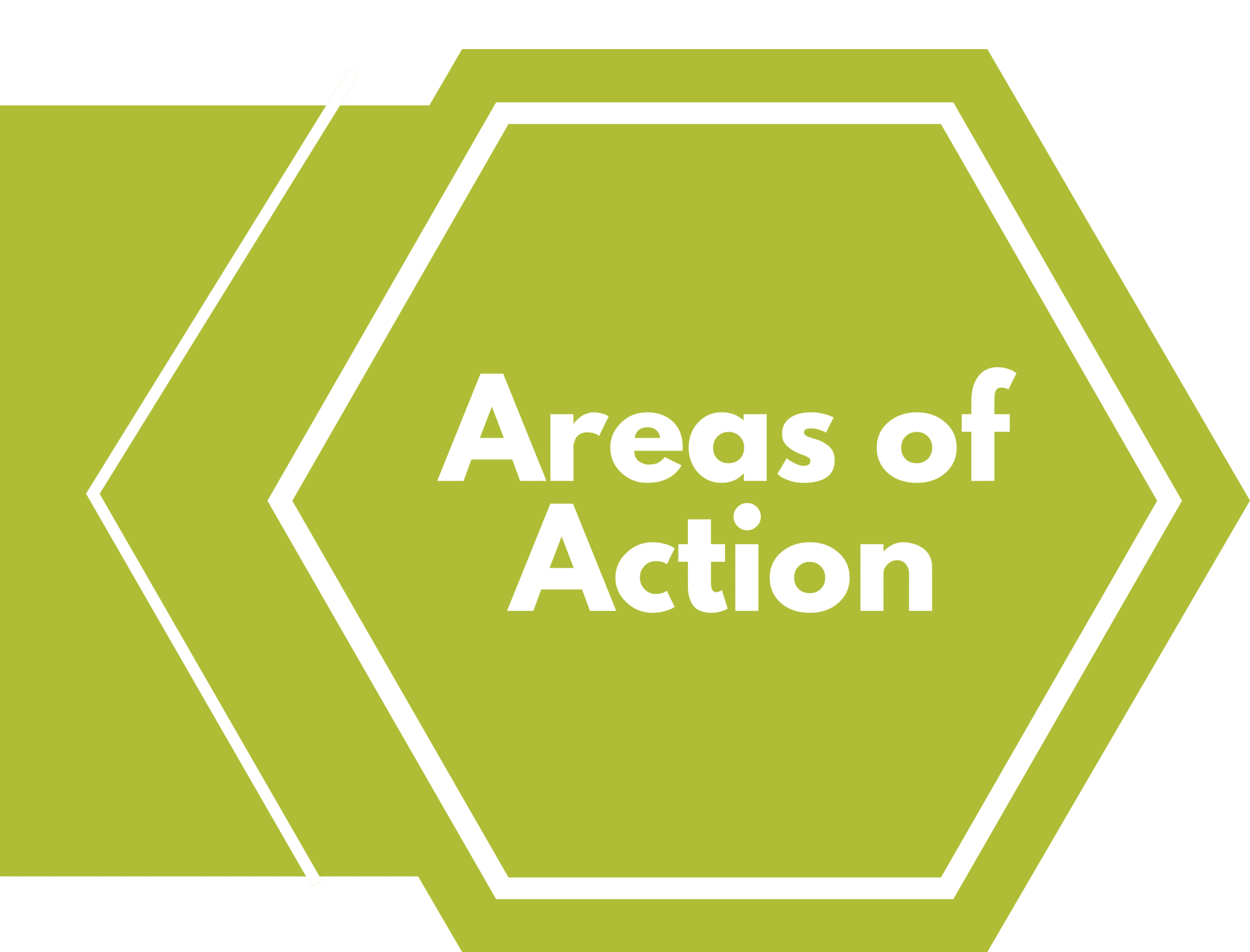 header graphic with text "areas of action"