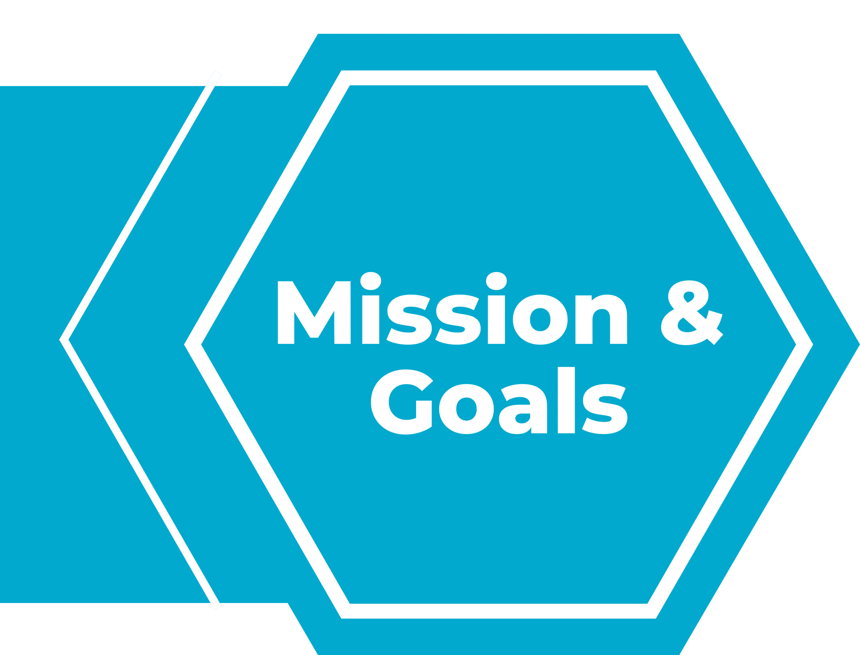 picture with header text "mission and goals"